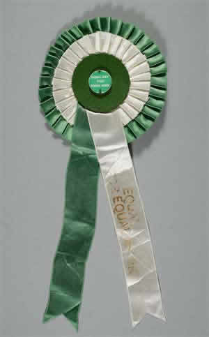 Equal pay rosette